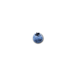 Coin image for Ar2s9bPPdYUUJR9cCSmpBGvXxVfG4fKxHj69NAjApump