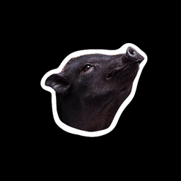 Coin image for ArY2HajWsSRtUfFJtkEYTDPikbPFzxbwCWbtZEqGJAYh