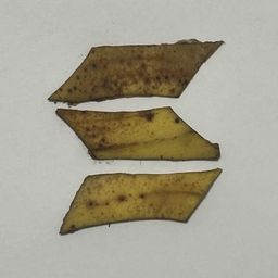 Coin image for AriV9xsYB68fSDwLEpxAYAb7jB5MUjusnVsCyanFpump