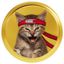 Coin image for ArofkJRYVE6DhTH3f1N9xfzZEpryQf7yffWcmFhZpump