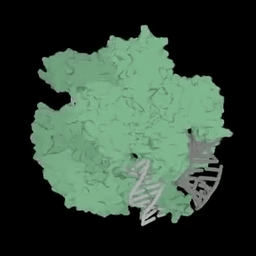 Coin image for Atga11AHAfMHroqfQiuAXGNpCpQXfHTLnNyRAeYcpump
