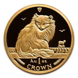 Coin image for Av8Pcc2cPzqcqULVb8EZ837Askomhak67KGyT1d7pump
