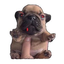 Coin image for AvAXiJ4PYTaJTMLsYLSDswReuPAVytv8DgDKm3fwpump