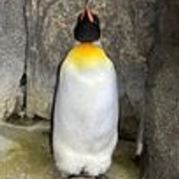 Coin image for AvSjXaeZGLUBDSC1GpAPZ3wePCtRm4PrN37bwMeypump