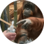 Coin image for AwQejo6QzwXVhoqnQa4pDaYiFCnMEhpMeSr32vbkpump