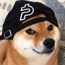 Coin image for AwbKrZH5XzMp3SnLbzSytoGcaGkEKApXmpUkNfqFpump