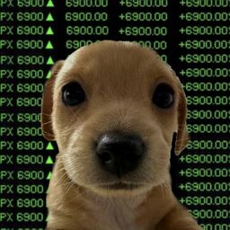 Coin image for AwcSe5roohXFm4ySMytymN9oASfATqKH8h7PsSoQpump