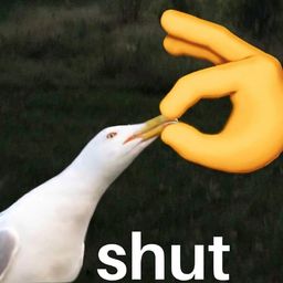 Coin image for Awinw6bXfRCEY1nHFXi8EmUmF8n3QMYTjnbVGdnZpump