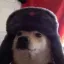 Coin image for AxCk6ZBVixqwwUi9NKsJZWkp4WK3UPu8wQTJrznvpump