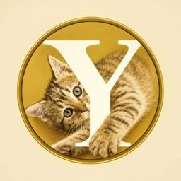 Coin image for AxE1HswWbDC7hFUYafZGoBnC6Ygs4c6LvG3eiARkpump