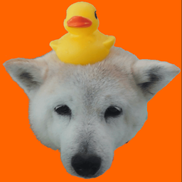 Coin image for AxTsWhZ5TnfYYk2XWS1LR3JxmRYyFBQqfJG2PRTgpump