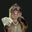 Coin image for AyY3JwhoHNo1Pjcv62TY7rtFf6vQJqVofabjJtotpump