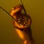 Coin image for AynenecbMYmtT6A1waaAYYX6YS18YUF2dyk6fTEnpump
