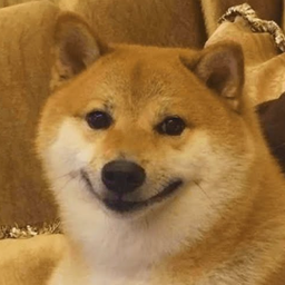 Coin image for Ayrykd8gyBbcDev9u1Lu4YxrDPLYa9XeJTMN9Ztmpump