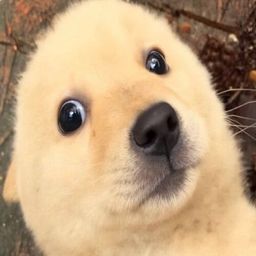 Coin image for AzKXrnBzJtRjXnWdPyTg2HFfHUkJmRMuhSL5odrcpump
