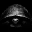 Coin image for AzuDx8xcCQJvcMwi4PXHWcDcnDjcayysXWmj6DiGcn5