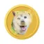 Coin image for B1ehtWcoqfPhBsYBcPMjC2RfnbEZKQXAMyopaAwQi4an