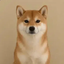 Coin image for B1qETXdbbHEfDo9gQgGevmP7NZH1bJUf1wGdqr9mUNzr