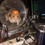 Coin image for B28fK1H5MurXVH2yPWDnLrDPLTbUtXyPpkR6brCSzfj4