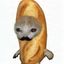 Coin image for B2HbX8GjGk4F5RKeTTCVEdtirpFHY9jGZiushNhFpump