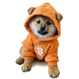 Coin image for B2MxZBssmRitHsj4SDaH5cqcJMkFNgS1jxprCSNJpump