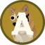 Coin image for B3FTcQQB5LiHSX6tURHhMAmMUghzwHjvCZkx1xkJwuqS