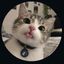 Coin image for B3dJS3oDPmZezoBHh7Ypfqnu1E7SBR9bBWgAKj5cd7DH