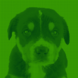 Coin image for B5KQoyfiGV2Wd1R2mkVscC3aCDDPZdthjiqHvUBApump