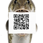 Coin image for B5hH77A3TUgwbndAsrYwmBrDUWeqXdbkKjnXRdvXpump