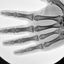 Coin image for B6Wf8WDygrjFB3CBe3GYdCpbmbfNoYLELEv9f6GHwcea