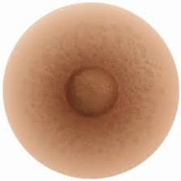 Coin image for B6oA3Kq6YTfpBPUTDeaFeJD2EHdFfaVttiM8DgJfpump