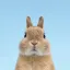 Coin image for B6qcLTAo5Vn8E7N6XtESYLa4e3MrxyNXPT6Ybhuzpump