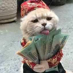 Coin image for B7kuPDsb5g3FNUvz7N49pDdv3s2TD5YjoPEjht4mpump