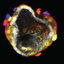 Coin image for B91RAFaMizq1L3xDfUadXaUWgGZEpJNXG6Zx8Yqypump