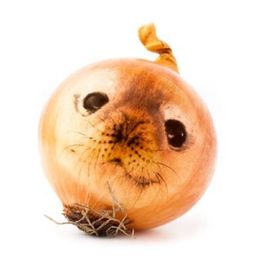 Coin image for B9JQBKfFFhRYWQs2iYxBirD5QPTYrVoWZABji2UXpump