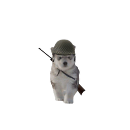 Coin image for B9qPKPWcFELimweDW2tmRMDu9fsonBuPbaV2BZ8hpump
