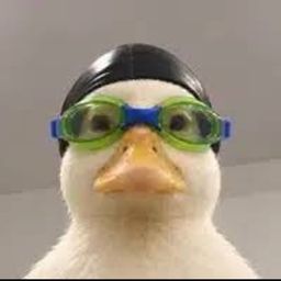 Coin image for BACdJZCbfPfyy1cXWJmLbsXz2PPdgai8RjHZGmAZpump