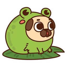 Coin image for BAHaqCytpakPyxaQY1VGfydkAV6qNJVPfqFzZ5dUpump