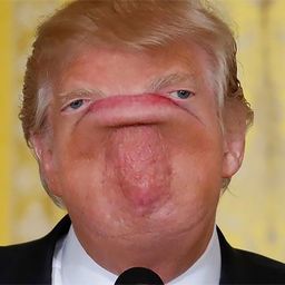 Coin image for BAPeKxjWUcUtUafH4PnXTEVDbmpJi44GSvKnteh1pump