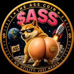 Coin image for BAyFVWNTEvKWGPXSNHWhLAPdsSpZthkx9ocdGjrCpump