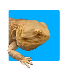 Coin image for BCApdQLW1Qub3Pyyn4bSUnvAHUrPaZg33DZA3p2fpump