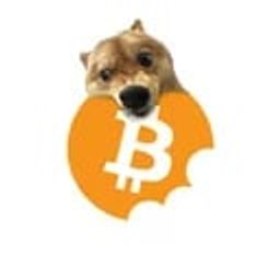 Coin image for BCBSfvexLjqFrHo2WLBNM6RHo3K82RXMbWEQGPfjpump