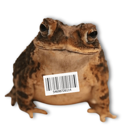 Coin image for BCT6rVCgbwMQXa4XVDPyRDioo3KWxUewbXsmyRmUpump