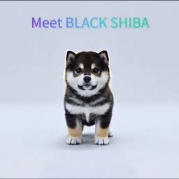 Coin image for BDiHFDysPDgDxaxaGL3wh7mDkkCZ3cAgnuR3KHgJpump
