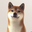 Coin image for BDsdyZ5wSksj7X7jFDJrR1inmFgWpdrrDLr7oycpPjaf
