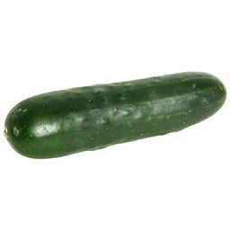 Coin image for BEFGRZE3Hpq7SZoEFmPtrFSDjJSYi4fYwRch8pWVpump