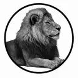 Coin image for BF6GgUePPSYn9sJtTzSCbQ1MFj5gCMHNJWeGR8phpump