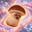 Coin image for BFAktVWgLnuGNgwwdYLu1P1owVCbNFiGzgkC9UcLpump
