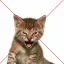 Coin image for BGJZ88bN4GGFfzoeU8VjzcLrpeswegCxkzyr1mJtkvcF