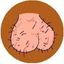 Coin image for BH3DUKXWuQP2D32AGRQHafWvqBBjP6QN3XJv9siGpump